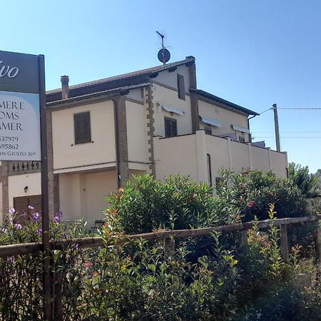 Agriturismo Il Vecchio Olivo Кастаньето-Кардуччи Экстерьер фото