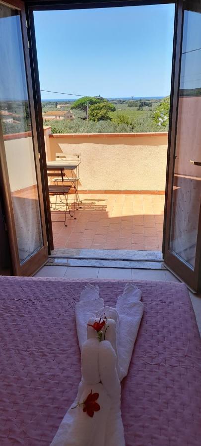 Agriturismo Il Vecchio Olivo Кастаньето-Кардуччи Экстерьер фото