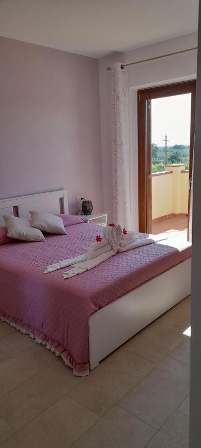 Agriturismo Il Vecchio Olivo Кастаньето-Кардуччи Экстерьер фото