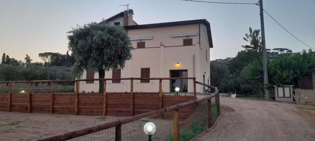 Agriturismo Il Vecchio Olivo Кастаньето-Кардуччи Экстерьер фото
